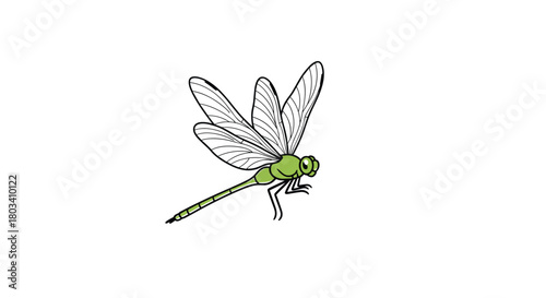 A delicate green dragonfly with translucent wings is depicted in flight with intricate vein details.