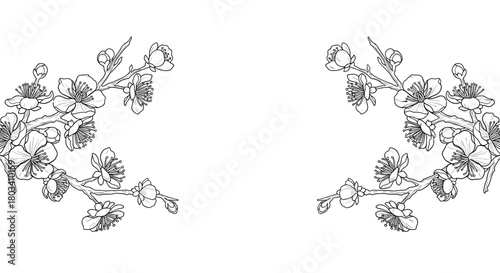 Decorative floral branches with delicate blossoms in a vintage sketched style creating ornate borders.