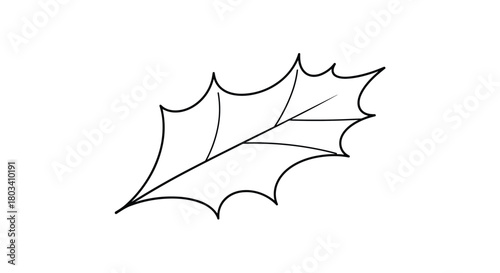 An outline of a holly leaf showing its distinctive spiky edges and venation pattern.