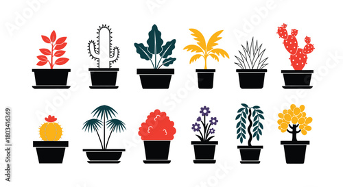 Brighten any space with this vibrant plant collection for home decor