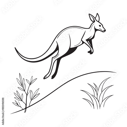 Kangaroo jumping illustration Vector