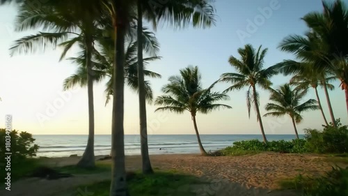 Sandy beach view with palm trees, ocean, and sky at twilight with gentle waves rolling ashore on the horizon