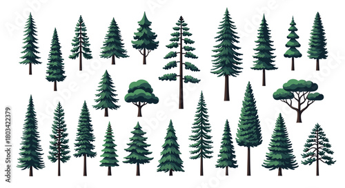 A comprehensive collection of stylized evergreen and some deciduous trees in various shapes and sizes, presented as a vector illustration set.