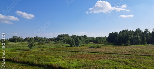 Białowieża Forest
