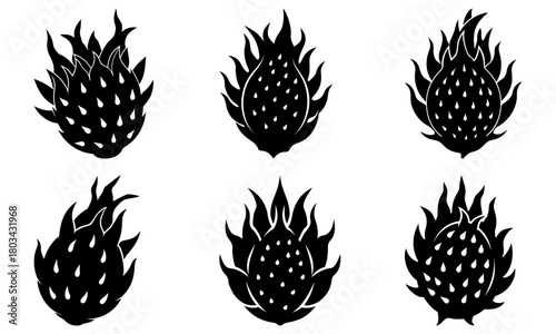 Collection of six stylized dragon fruit illustrations in black silhouette on a white background