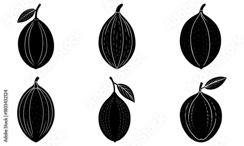 Illustration of six stylized black cocoa pods with leaves on a white background in a vector format