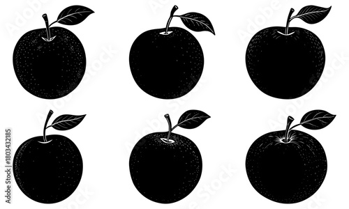 Illustration of six plums with leaves in a black and white woodcut style arrangement on a white background