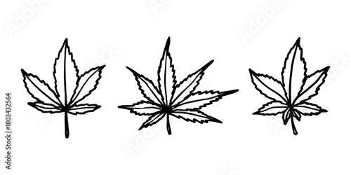 Set of hand drawn cannabis leaf Medicine marijuana Hemp leaves clipart in doodle style Single element for print, web, design, decor