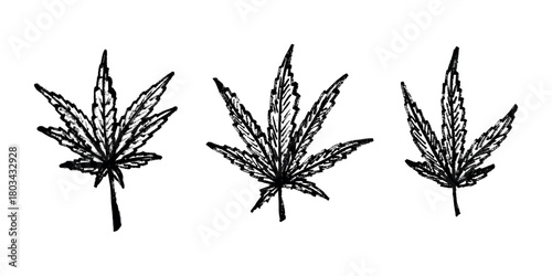 Set of hand drawn cannabis leaf Medicine marijuana Hemp leaves clipart in doodle style Single element for print, web, design, decor