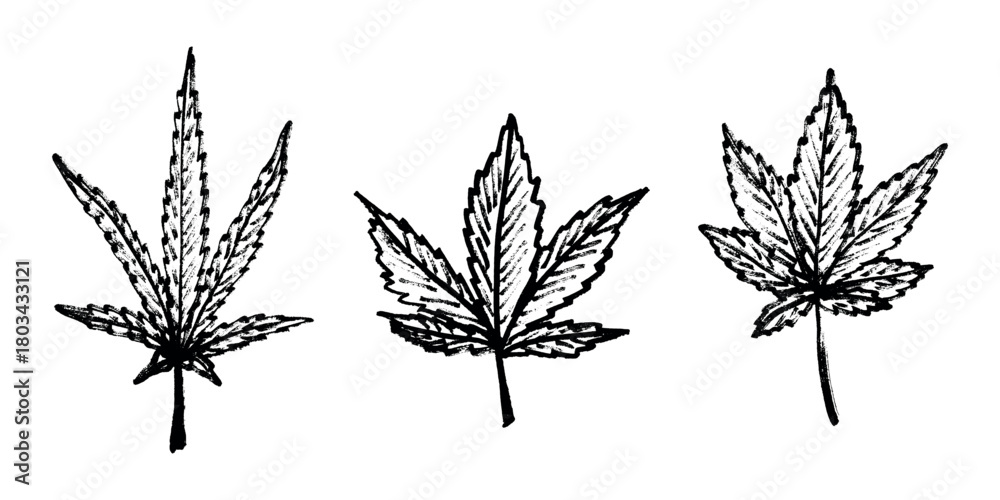 Obraz premium Set of hand drawn cannabis leaf Medicine marijuana Hemp leaves clipart in doodle style Single element for print, web, design, decor