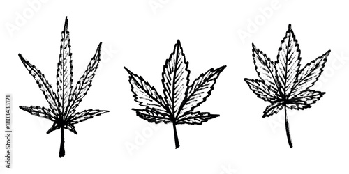 Set of hand drawn cannabis leaf Medicine marijuana Hemp leaves clipart in doodle style Single element for print, web, design, decor