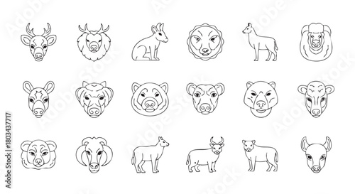 Diverse Animal Head Line Art Collection Vector Illustration Set