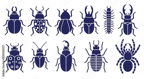 Vector insects beetles spiders centipede entomology graphic design