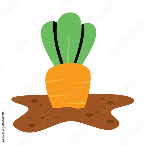 Baby carrot planted illustration