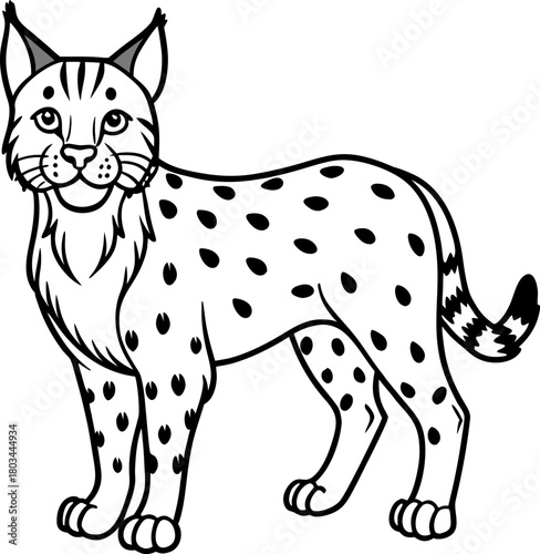 A stylized black and white illustration of a bobcat. The bobcat is depicted in a standing pose, facing the viewer with a friendly expression and open eyes. The bobcat features distinct tufted ears, a 