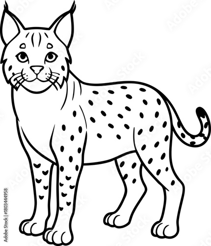 A stylized black and white illustration of a bobcat. The bobcat is depicted in a standing pose, facing the viewer with a friendly expression and open eyes. The bobcat features distinct tufted ears, a 