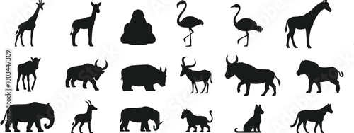 Collection of wild animal silhouettes, safari wildlife icons, black vector creatures including birds, mammals, jungle animals, farm animals, nature illustration set