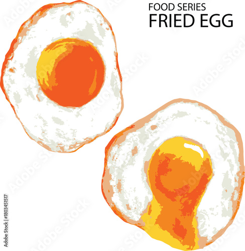 vector illustration of fried egg