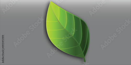 Stylized vibrant green leaf with subtle shadow on a plain gray background.
