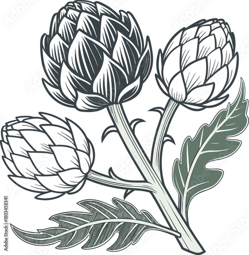 Three artichokes, the main subjects, are arranged in a stylized, artistic illustration on a white background. The central artichoke is positioned upright, flanked by two others, one on each side, slig