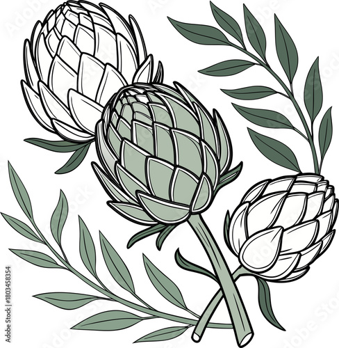 Three artichokes, the main subjects, are arranged in a stylized, artistic illustration on a white background. The central artichoke is positioned upright, flanked by two others, one on each side, slig