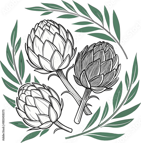 Three artichokes, the main subjects, are arranged in a stylized, artistic illustration on a white background. The central artichoke is positioned upright, flanked by two others, one on each side, slig