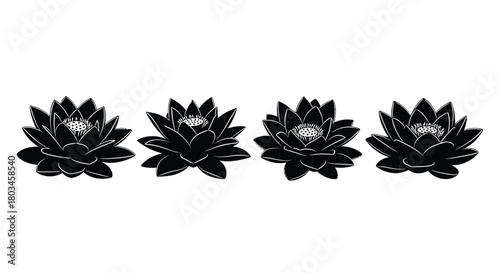 Four black lotus flowers lined up for design