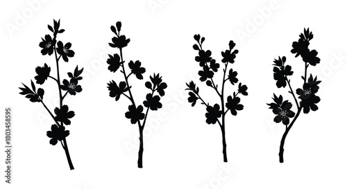 Set of four black silhouette cherry blossom branches