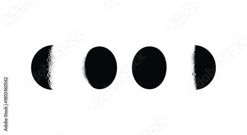 Lunar phases showing the different moon shapes