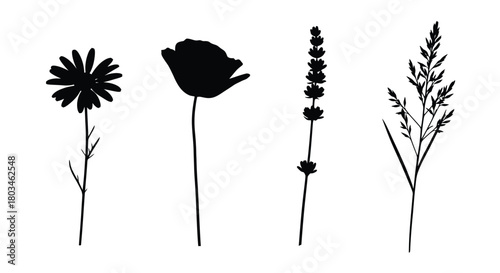 Collection of flower icons