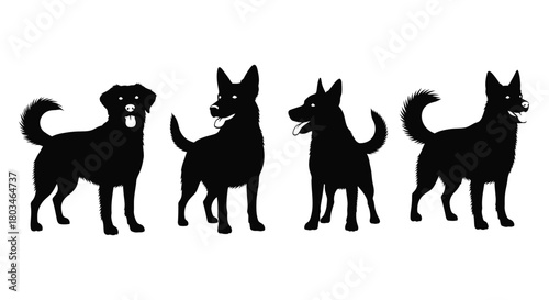 Silhouette of four dogs standing in different poses