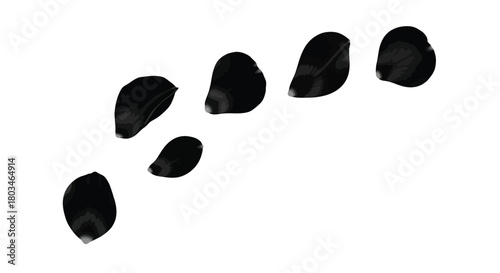 Seven black petal for graphic design use