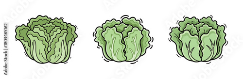 Set of Fresh Green Leafy Lettuce Heads, Cute Cartoon Vector Illustration in a Hand-Drawn Doodle Style for Salads, Healthy Greens, and Raw Food Diet