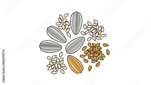 A topdown illustration of assorted seeds including sunflower and sesame
