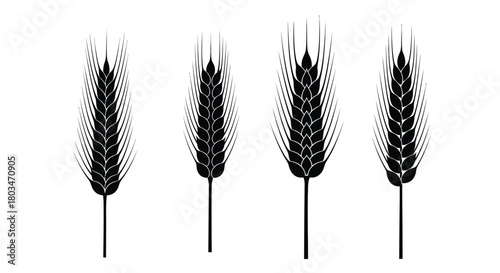 Four black wheat ears, a symbol of harvest