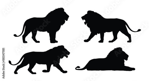 Four lion silhouettes in different poses
