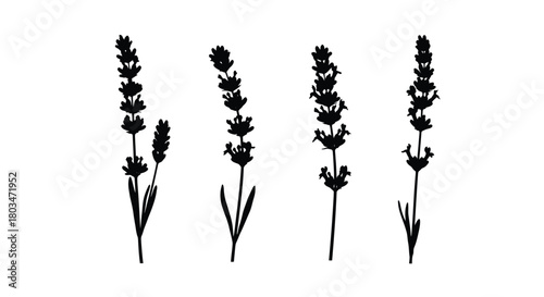 Four lavender silhouettes in a row design