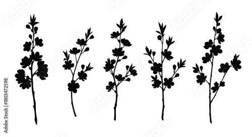 Set of sakura branch for spring season concept