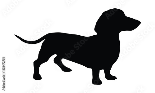Black silhouette of a dachshund dog