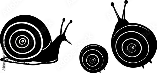 A collection of detailed illustrations of snails on a transparent background. The snails are depicted in various poses and perspectives, showing a range of views including profile, three-quarter, and 
