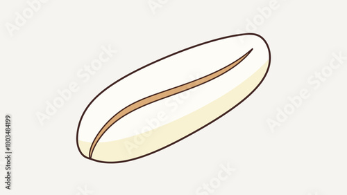 Simple line drawing of a peanut on a light background
