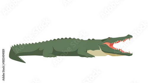 A green alligator with its mouth open showing sharp teeth and a pink tongue on a plain white background