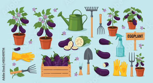 A vibrant set of illustrations showcasing the growth and harvest of eggplants, complete with potted plants, ripe vegetables, and essential gardening tools.