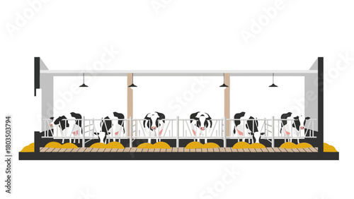 Crosssection of a barn with seven black and white cows in stalls eating from yellow feed piles under pendant lights