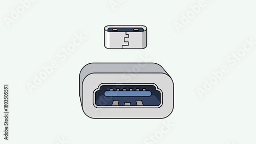 Illustration of a USBC male connector above a USBC female port