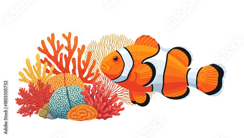 Orange and white clownfish with black stripes floats beside a colorful coral reef featuring various red orange yellow and blue corals