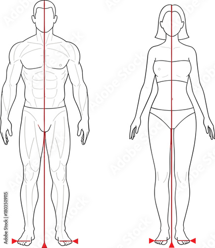Male and female figure, vector outline, human body anatomy, symmetry line, balance, posture concept, center of gravity, stance illustration.
