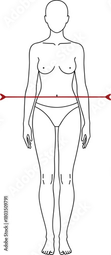 Female figure outline, vector illustration, hip measurement, body size chart, woman's clothing guide, fashion, tailoring, body dimensions, circumference.