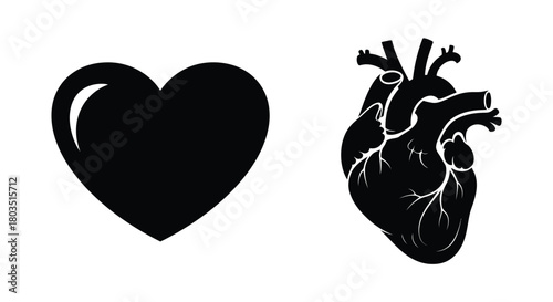 A symbolic heart and realistic anatomical heart illustration in black and white