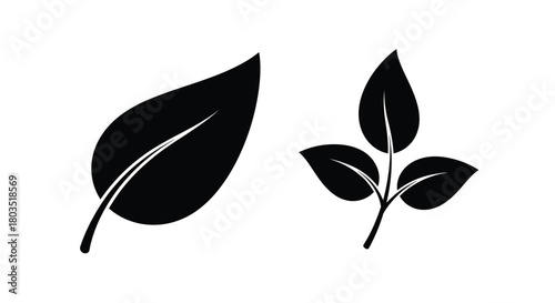 Simple black and white illustration of a single leaf and a sprig